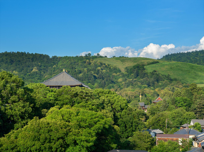 Scenery