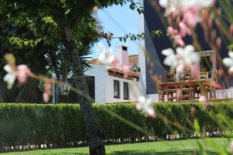 Others 5, HappySintra GuestHouse, Sintra