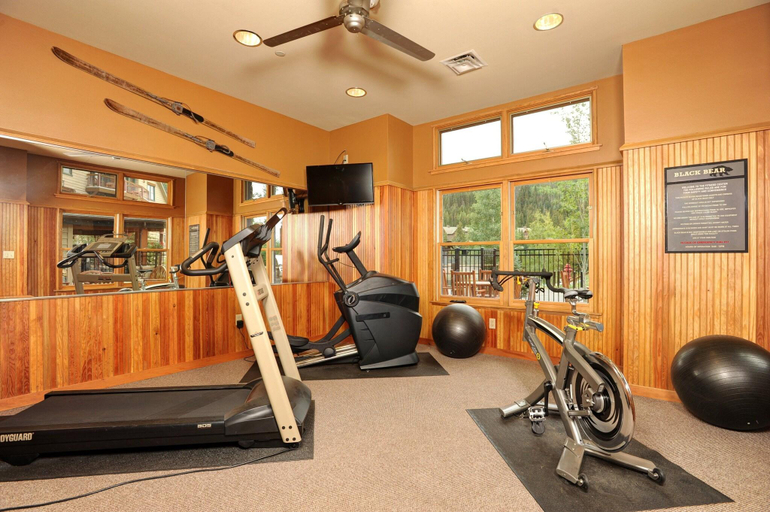 Others 5, Jackpine & Black Bear Condos by Vail Resorts, Summit