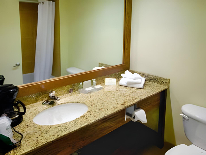 Bathroom 4, Holiday Inn Edison at Midtown By IHG, Lee