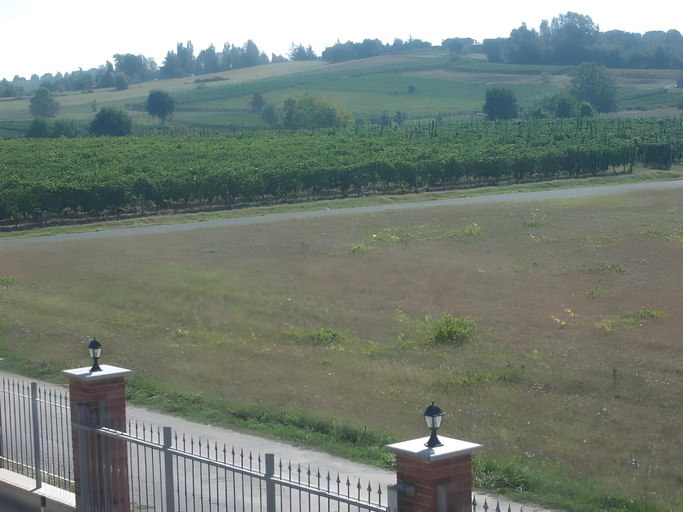 Others 4, B&B Da Levi Piana Del Sole, Alessandria