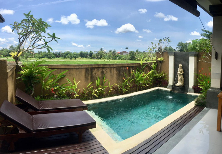 Swimming Pool 5