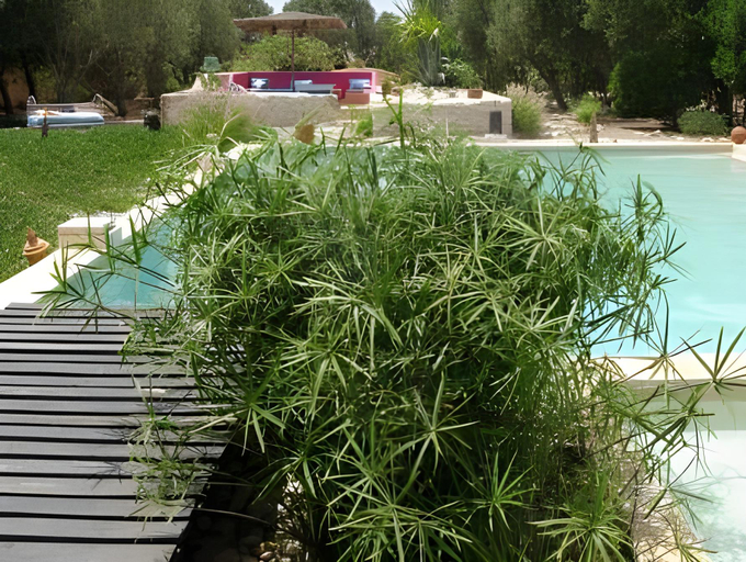 Others 2, Les jardins de Silona, piscine chauffee, Essaouira