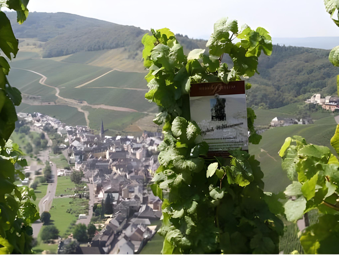 Others 3, Weingut Gastehaus Derkum, Bernkastel-Wittlich