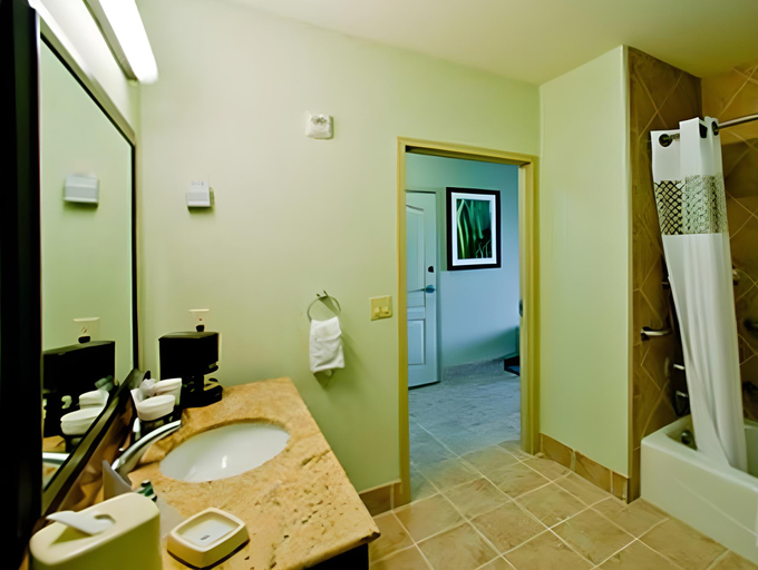 Bathroom 4, Hampton Inn & Suites Denison, Grayson