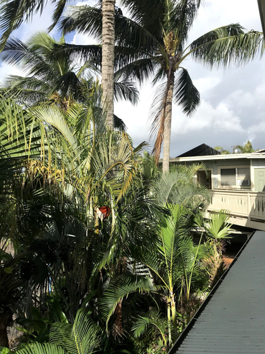 Others 5, Kaua'i Palms Hotel, Kauai