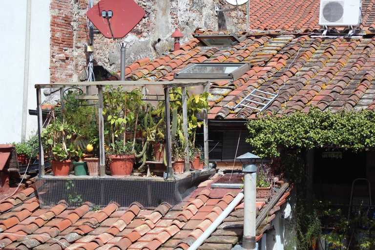 Others 5, John B .&B., Lucca