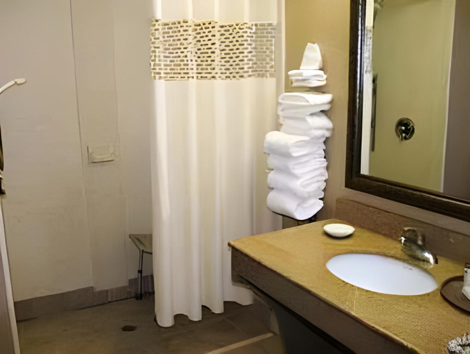 Bathroom 5, Hampton Inn Mebane, Alamance