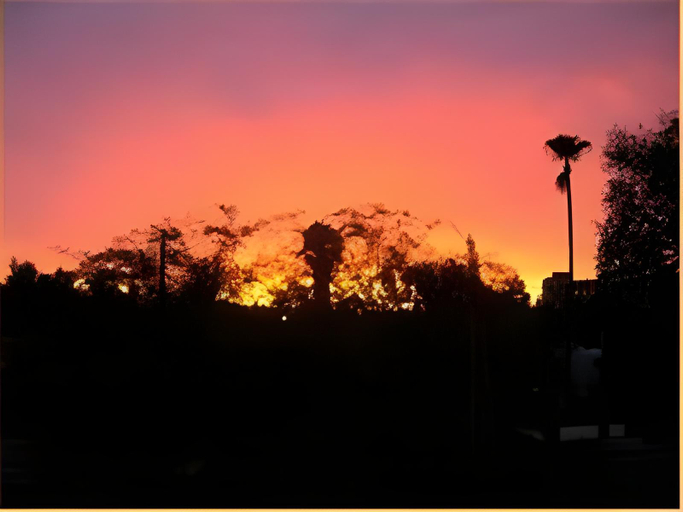 Others 5, Adobe Rose Inn, Pima