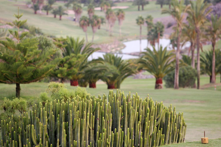 Others 5, Vista Golf 22 by VillaGranCanaria, Las Palmas