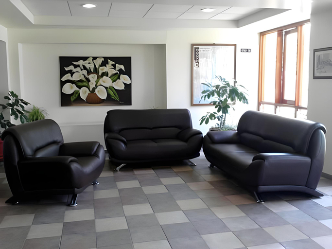 Public Area 2, Hotel Los Olivos Spa, Del Centro