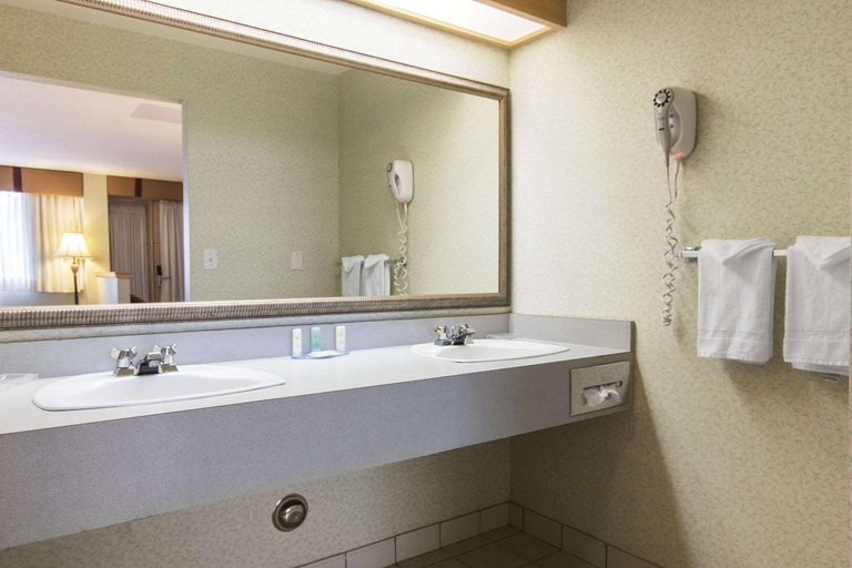 Bathroom 3, Flamingo Hotel, Division No. 1