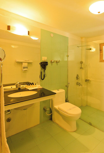 Bathroom 3, Ladakh Residency, Leh