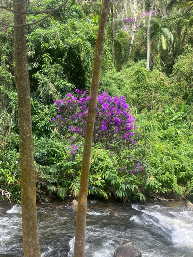 Others 3, Apart-hotel Cantinho da Serra, Nova Friburgo