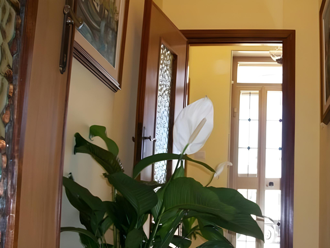Others 4, Il Sole Guesthouse, Sassari