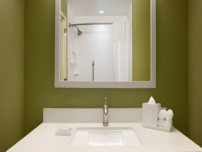 Bathroom, Home2 Suites by Hilton San Antonio Airport, Bexar