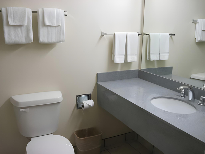 Bathroom 4, Texas Inn - Welasco/Mercedes, Hidalgo