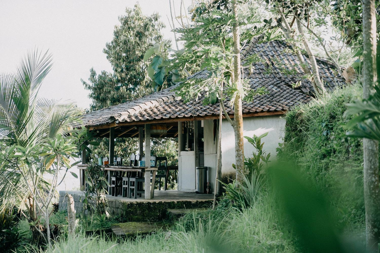 Food & Drinks 5, Padi Bali Jatiluwih by Manara, Tabanan