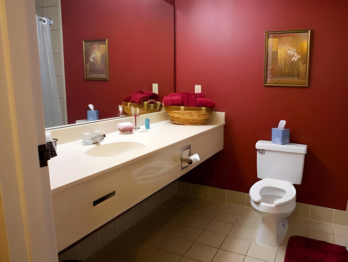 Bathroom 5, Country Inn Suites By Radisson Jackson Tn, Madison