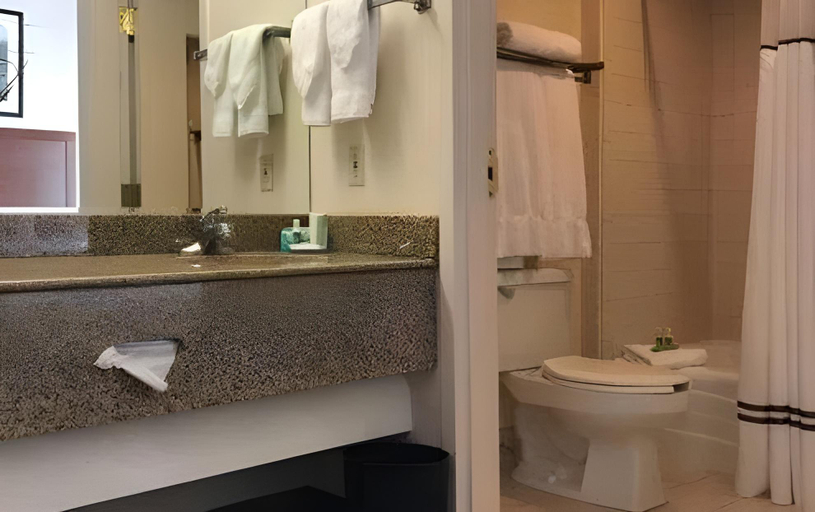 Bathroom 4, Ashmore Inn and Suites Lubbock, Lubbock