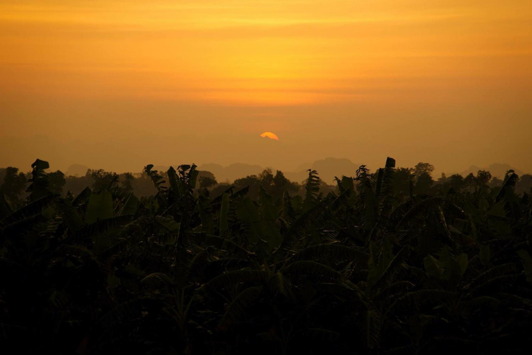 Others 4, Tam Coc Green Fields Homestay, Hoa Lư