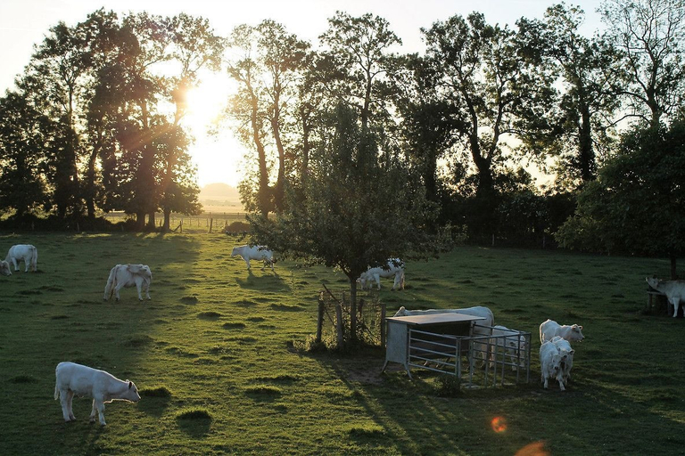 Others 5, Gîte- La Ferme des Chataigniers, Calvados