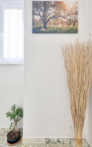 Others 5, la Casa del Vino - B&B, Chieti