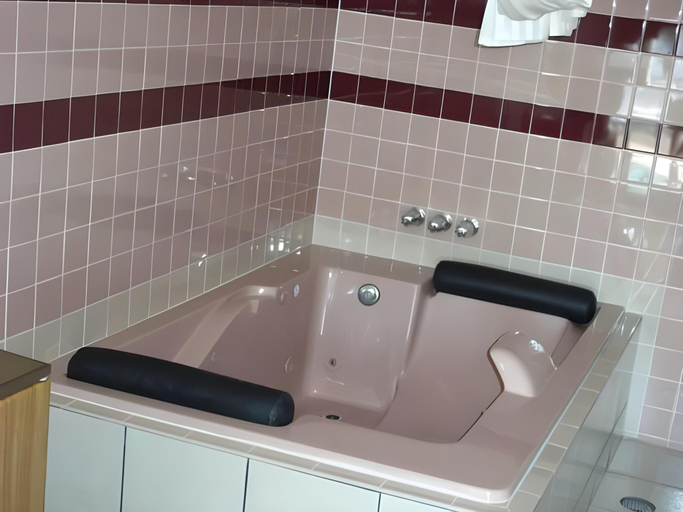 Bathroom 3, アーリントン イン, Riverside