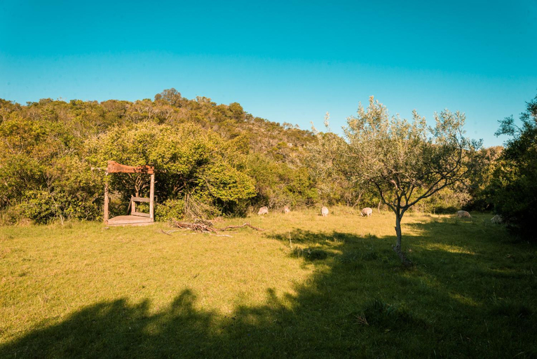 Others 5, Camino el Portal del Alma, n.a332