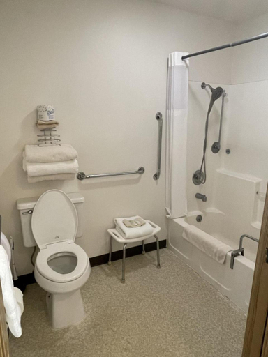 Bathroom 4, Hagerman Valley Inn, Gooding