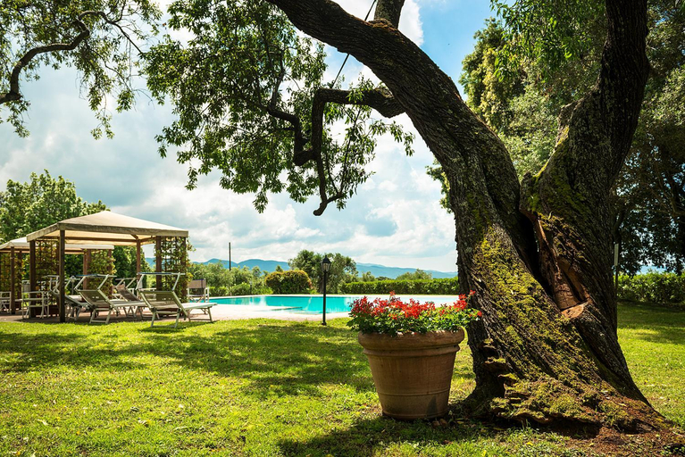 Il Martellino, Grosseto