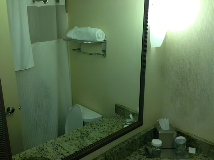 Bathroom 4, DoubleTree by Hilton Hotel Holland, Ottawa