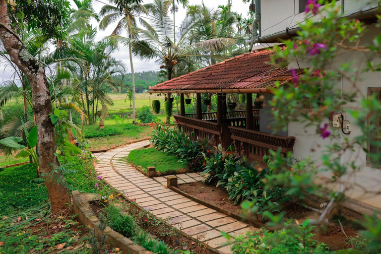 Others 5, Wayal Wayanad Farm Resort, Wayanad