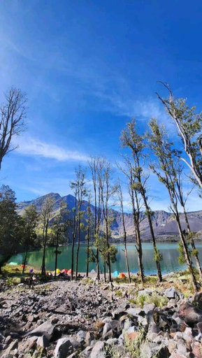 Scenery 3