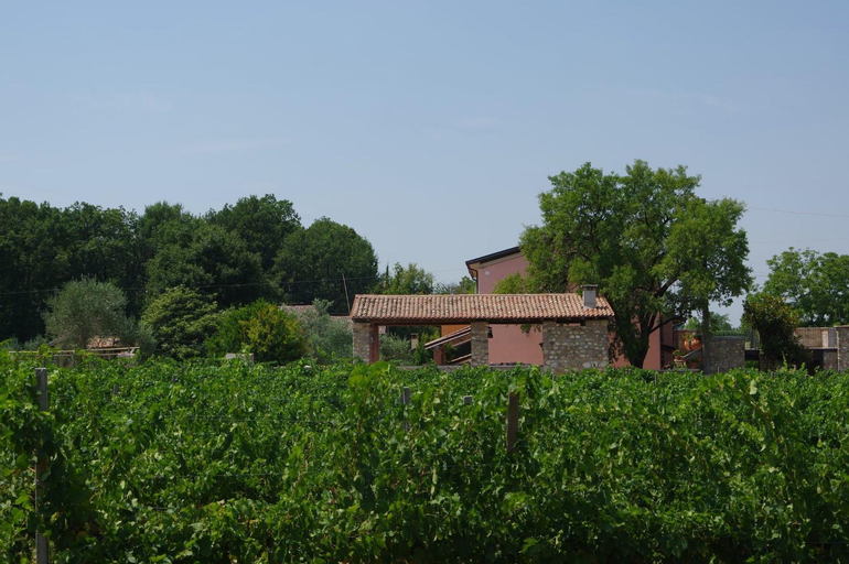 Agriturismo La Casa Del Mandorlo, Mantua