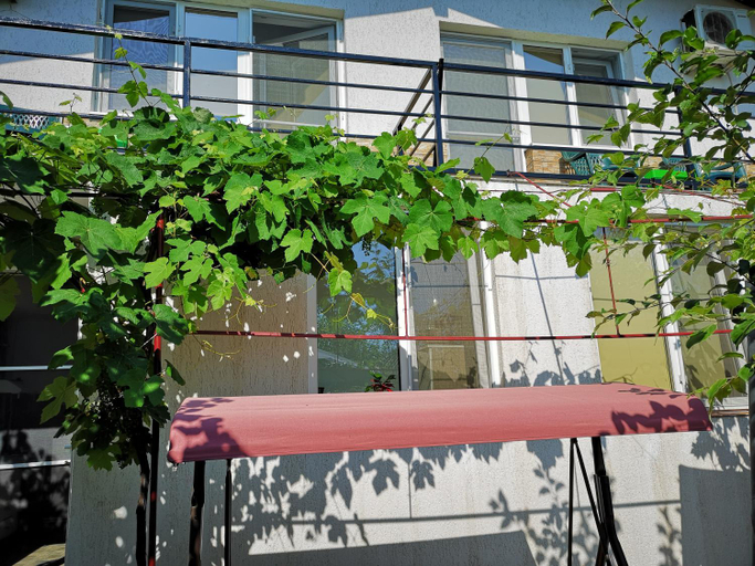 Others 3, Casa cu Foisor, Tuzla