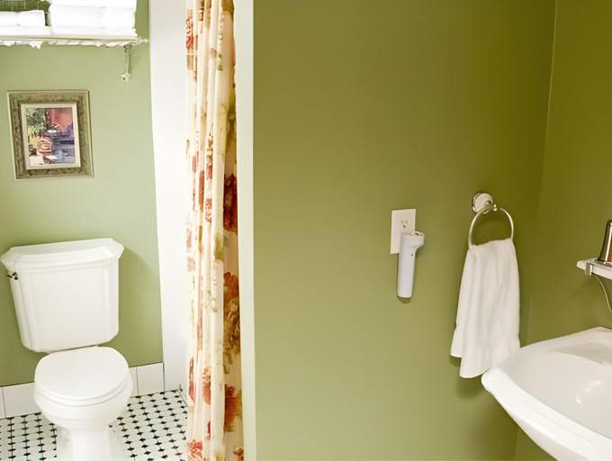 Bathroom 2, The Historic Elk Mountain Hotel, Carbon