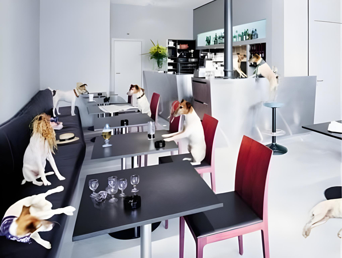 Food & Drinks 4, Hotel Limmatblick, Zürich