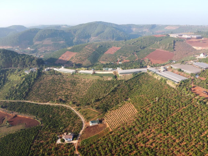 Others 4, Thom Farm and Retreat, Lâm Hà