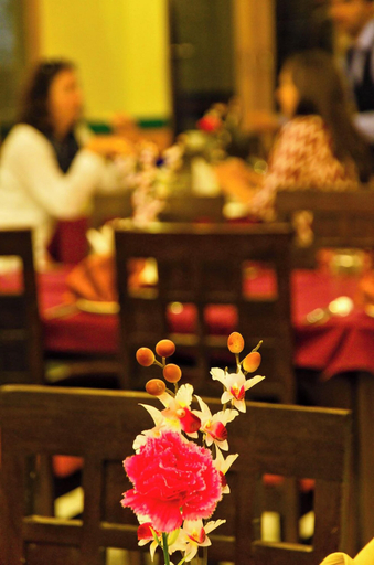 Food & Drinks 4, Ladakh Residency, Leh