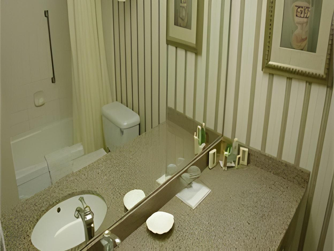 Bathroom 4, Chateau Lacombe Hotel, Division No. 11