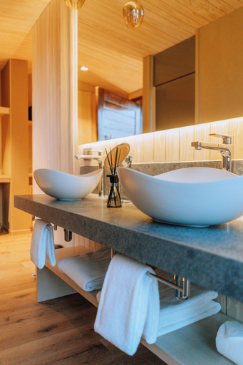 Bathroom 4, Andeluna Winery Lodge, Tupungato