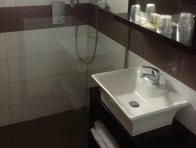 Bathroom 4, Logis Le Pont de Champ, Isère