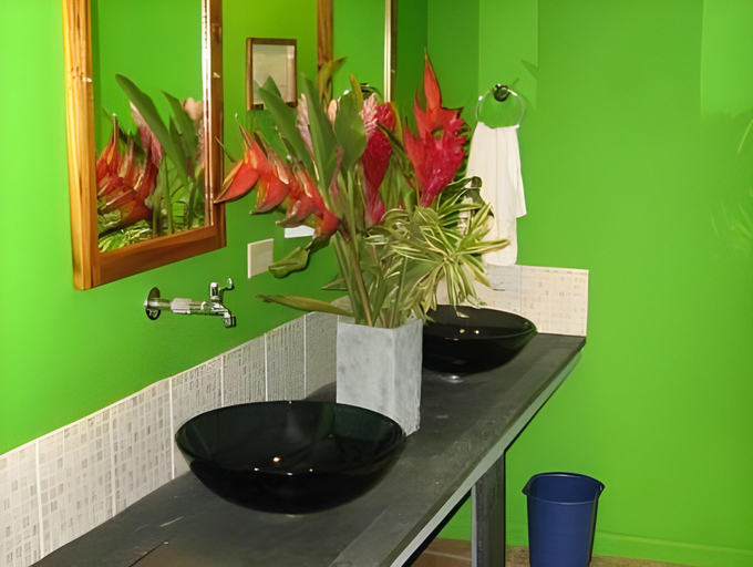 Bathroom 5, Celeste Mountain Lodge, Upala