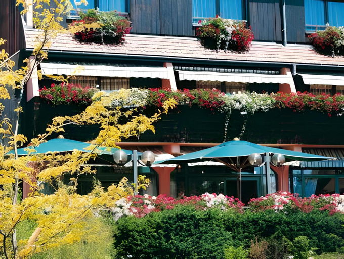 Hotel Le Menestrel, Haut-Rhin