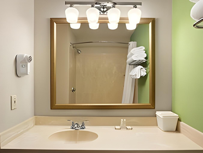 Bathroom 4, Quality Inn Summersville - New River Area, Nicholas