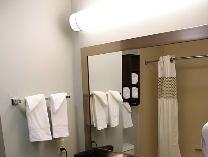 Bathroom 4, Hampton Inn & Suites Center, Shelby
