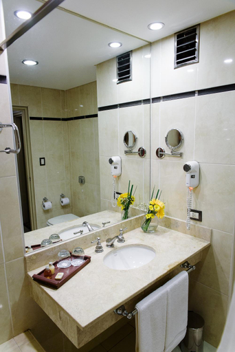 Bathroom 4, Land Plaza Hotel, Bahía Blanca
