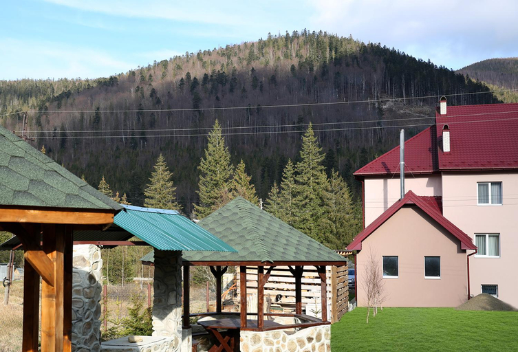 Others 3, Den House, Dolyns'kyi
