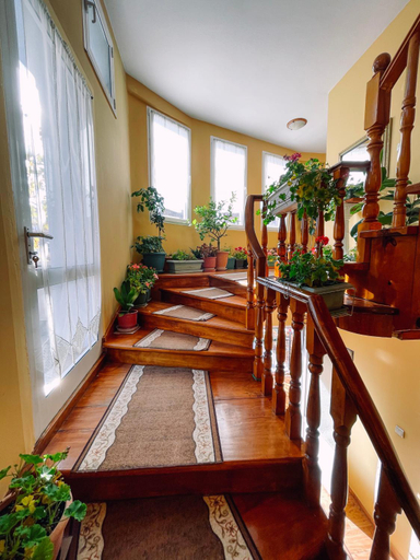 Others 4, Diana Guesthouse, Korçës